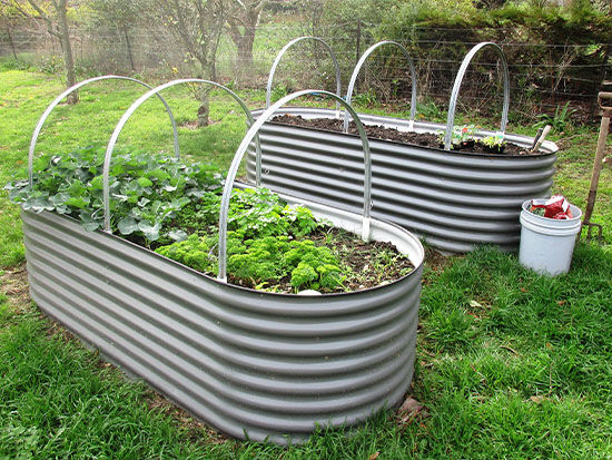 Cover Frames - The Veggie Garden