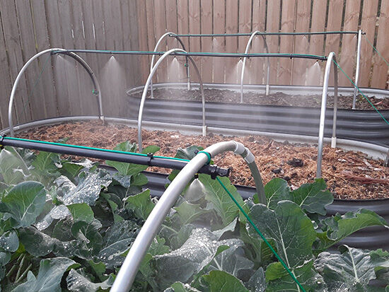 Micro Sprinklers - The Veggie Garden