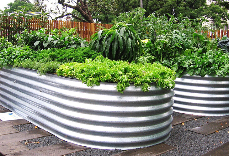 Raised Garden Beds