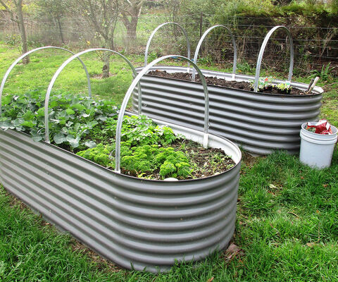 Raised Garden Beds - The Veggie Garden