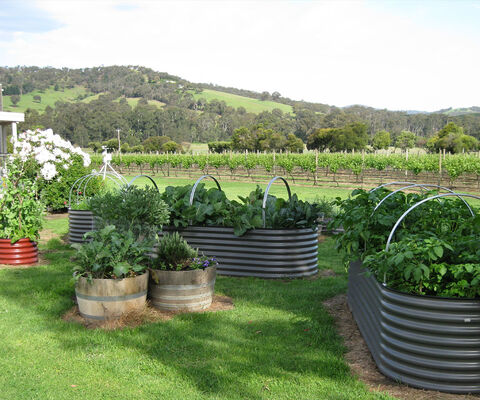 Raised Garden Beds - The Veggie Garden