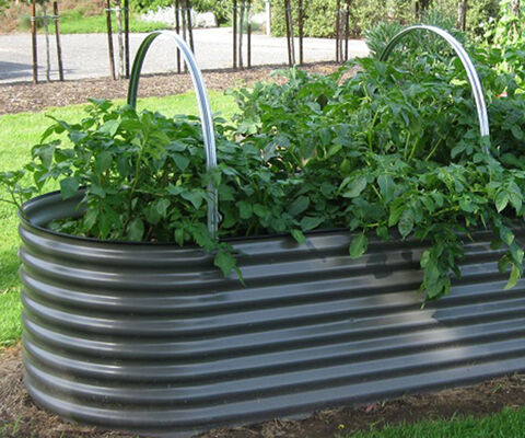 Raised Garden Beds - The Veggie Garden