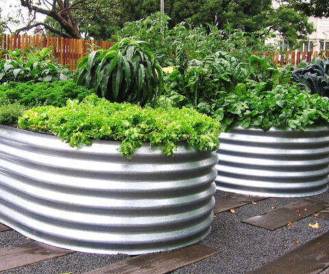 Raised Garden Beds - The Veggie Garden