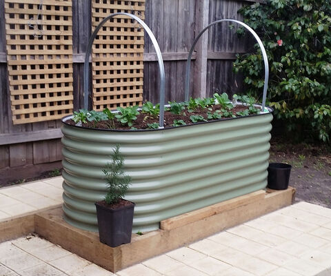 Raised Garden Beds - The Veggie Garden