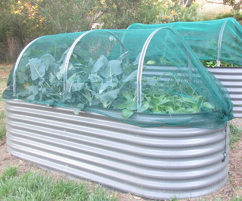 Raised Garden Beds - The Veggie Garden